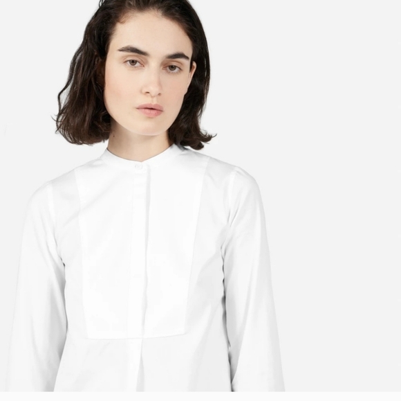 Everlane Japanese Oxford Bib Shirt Size 4 - Picture 1 of 16